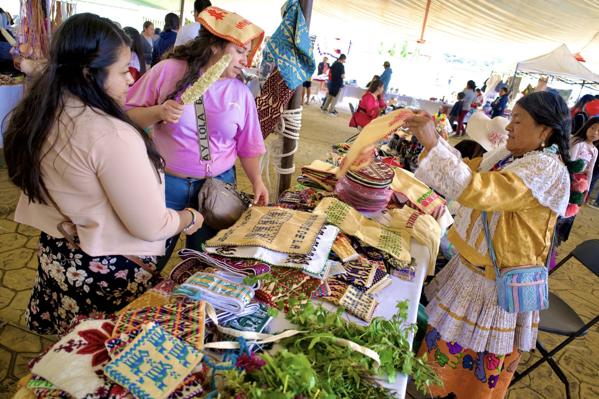 527713122_777626998125555_5176180507690668398_n